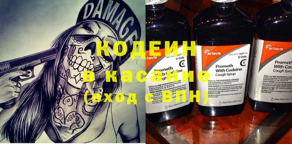 дживик Верхний Тагил