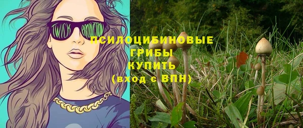 mdpv Верея