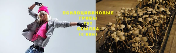 дживик Верхний Тагил