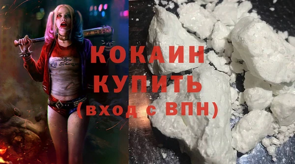 дживик Верхний Тагил