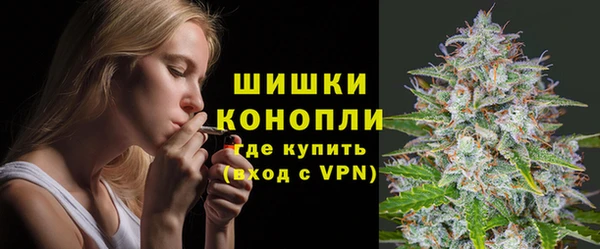 дживик Верхний Тагил