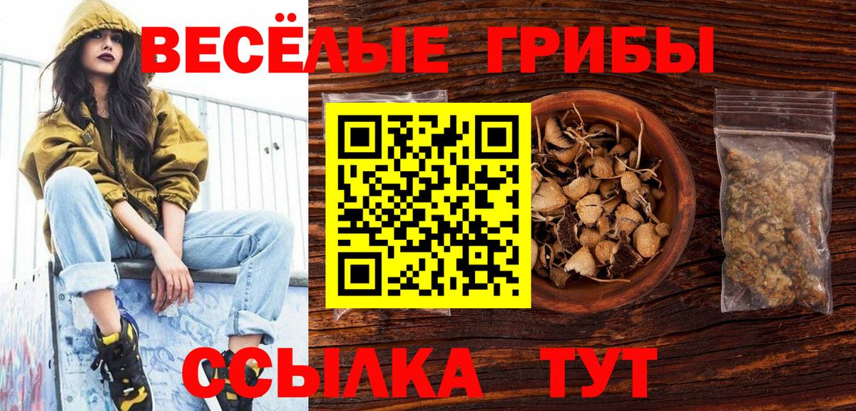 Псилоцибиновые грибы Psilocybe Выборг