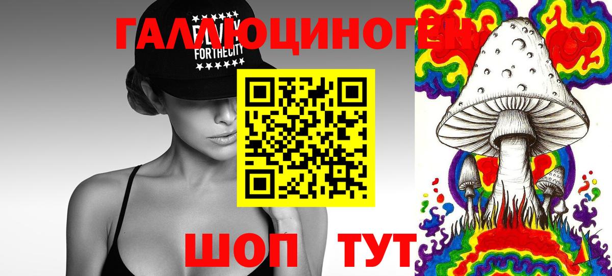 Выборг  Псилоцибиновые грибы мухоморы  Вход с VPN 